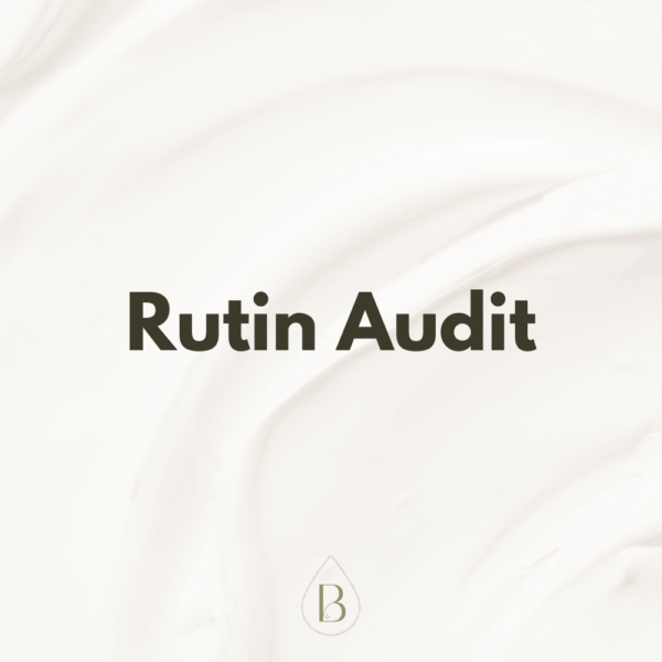 Rutin Audit